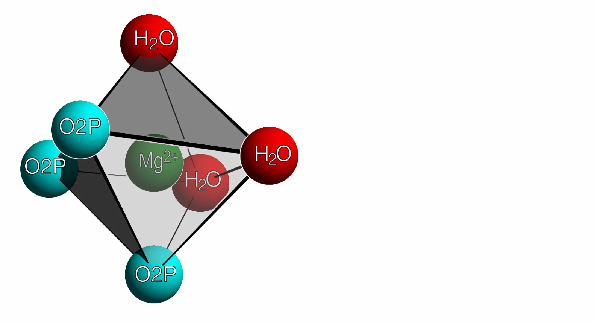 Williams Lab Slide 2